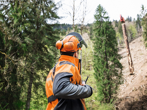 MS 462 C-M Benzine Kettingzaag