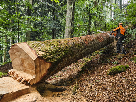 MS 881 Benzine Kettingzaag