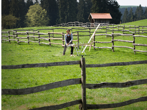 MS 391 Benzine Kettingzaag