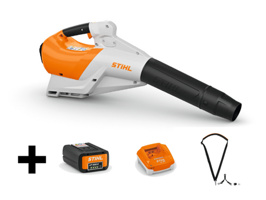 BGA 250 Accu Bladblazer - Set Compleet