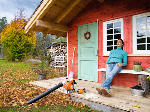 BG 56 Benzine Bladblazer