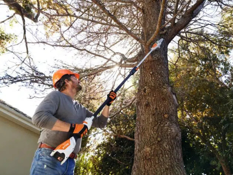 HTA 50 Accu Hoogsnoeier Stokkettingzaag (25cm) - BODY zonder accu en lader