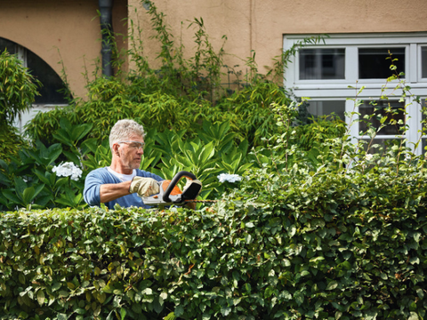 HSA 45 Accu Heggenschaar (50cm)