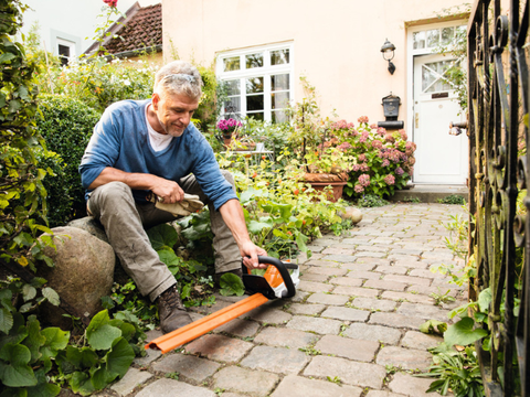 HSA 45 Accu Heggenschaar (50cm)