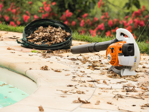 BG 56 Benzine Bladblazer