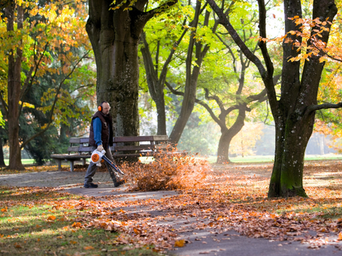 BG 86 Benzine Bladblazer