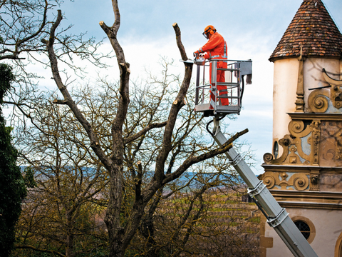 MS 201 TC-M Benzine Kettingzaag