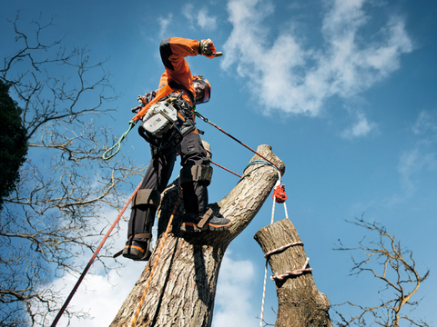 MS 201 TC-M Benzine Kettingzaag