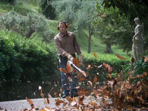 BG 86 Benzine Bladblazer