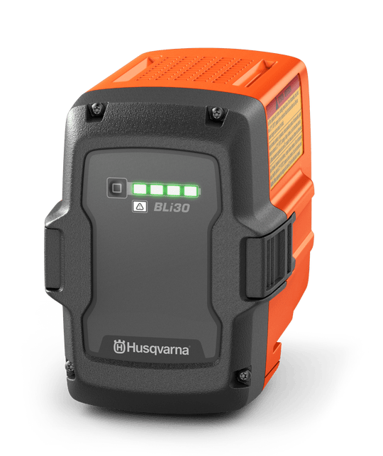 Batterie BLi30 